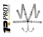 Pro1-Race-Harness-Silver